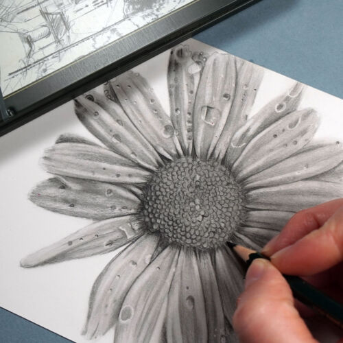 Graphite Pencils for Beginners - Gemma Chambers Art
