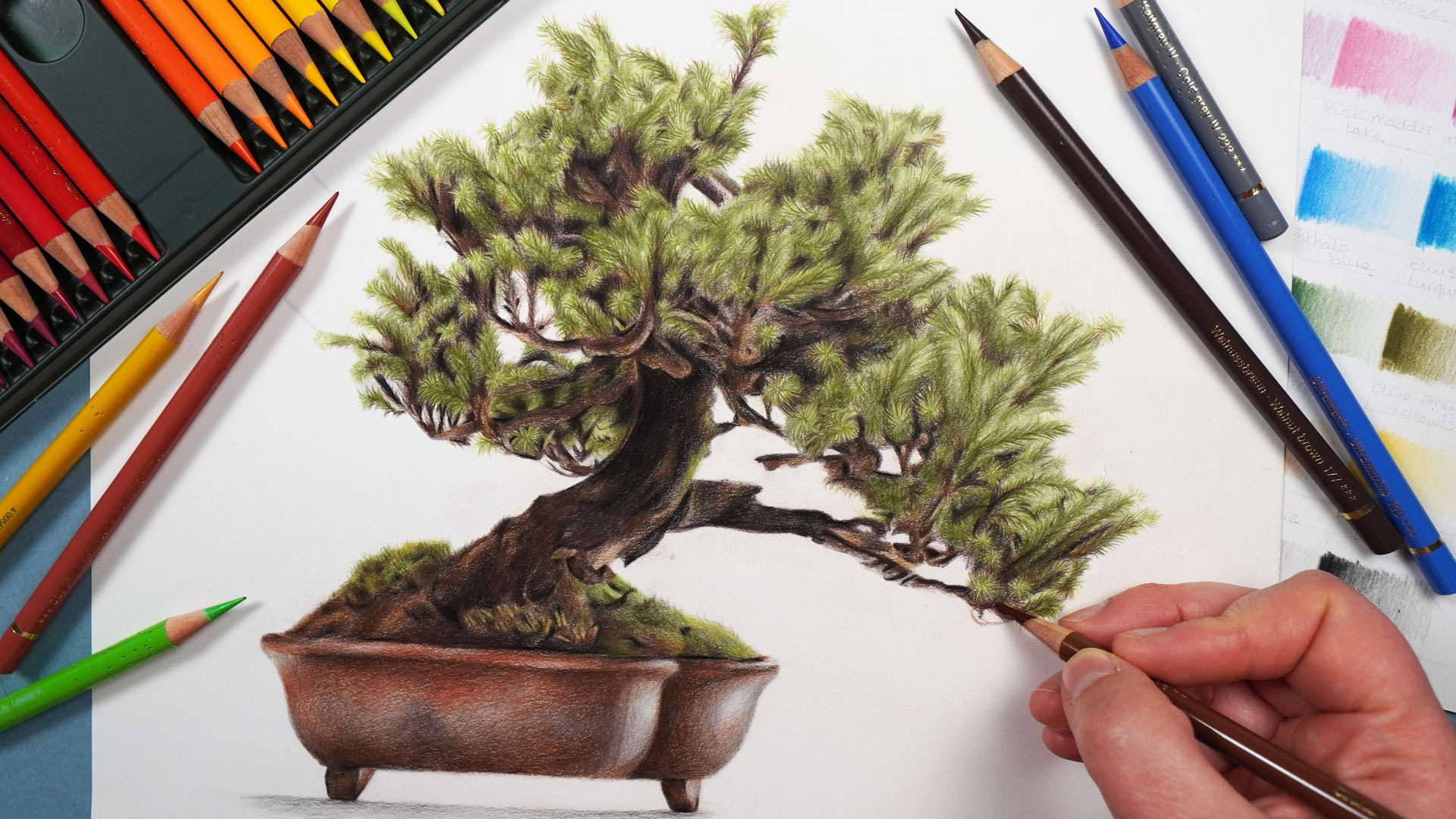 Bonsai Tree with Polychromos