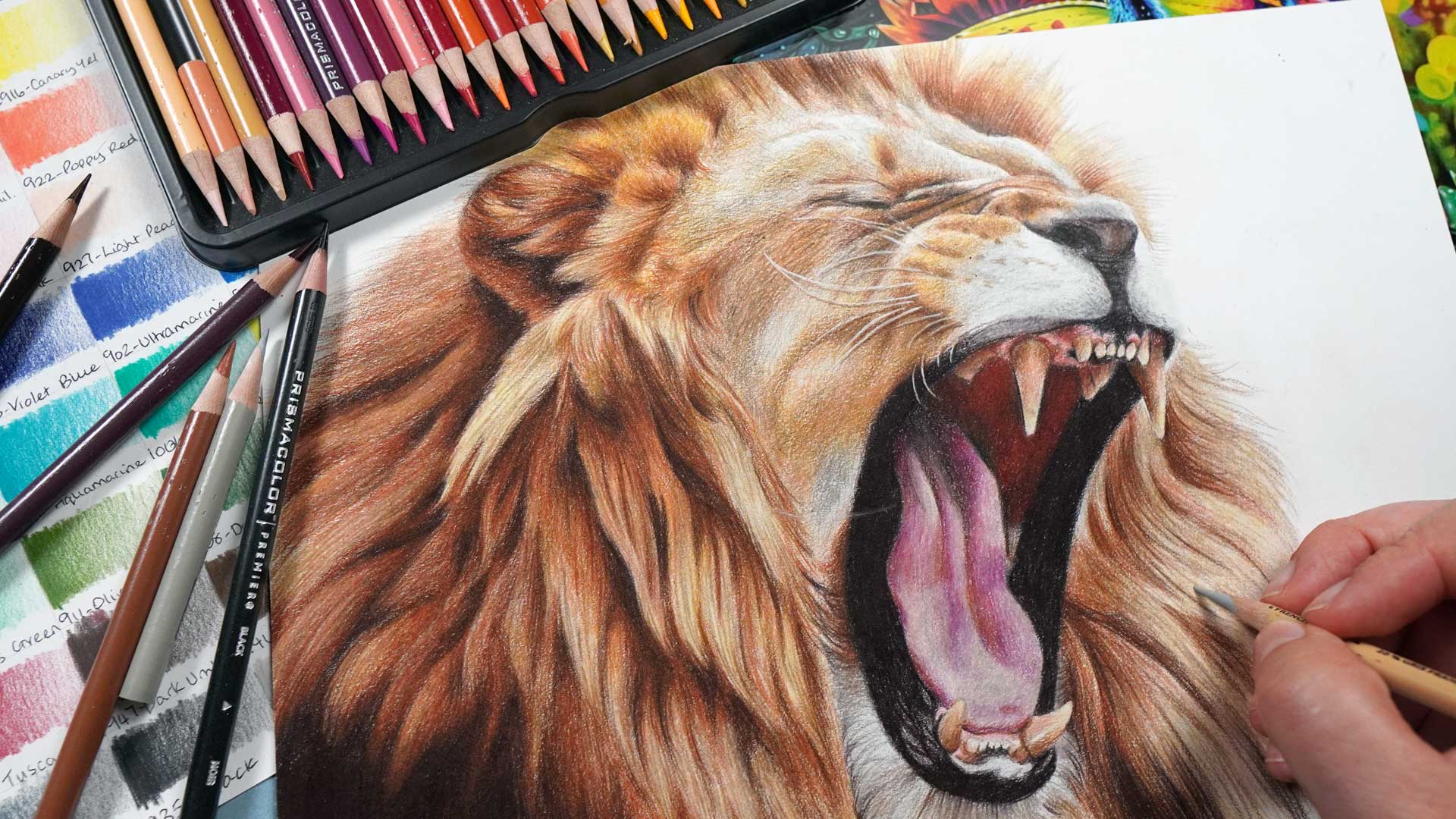Drawing Animals: How to Draw Realistic Lion with Colored Pencils