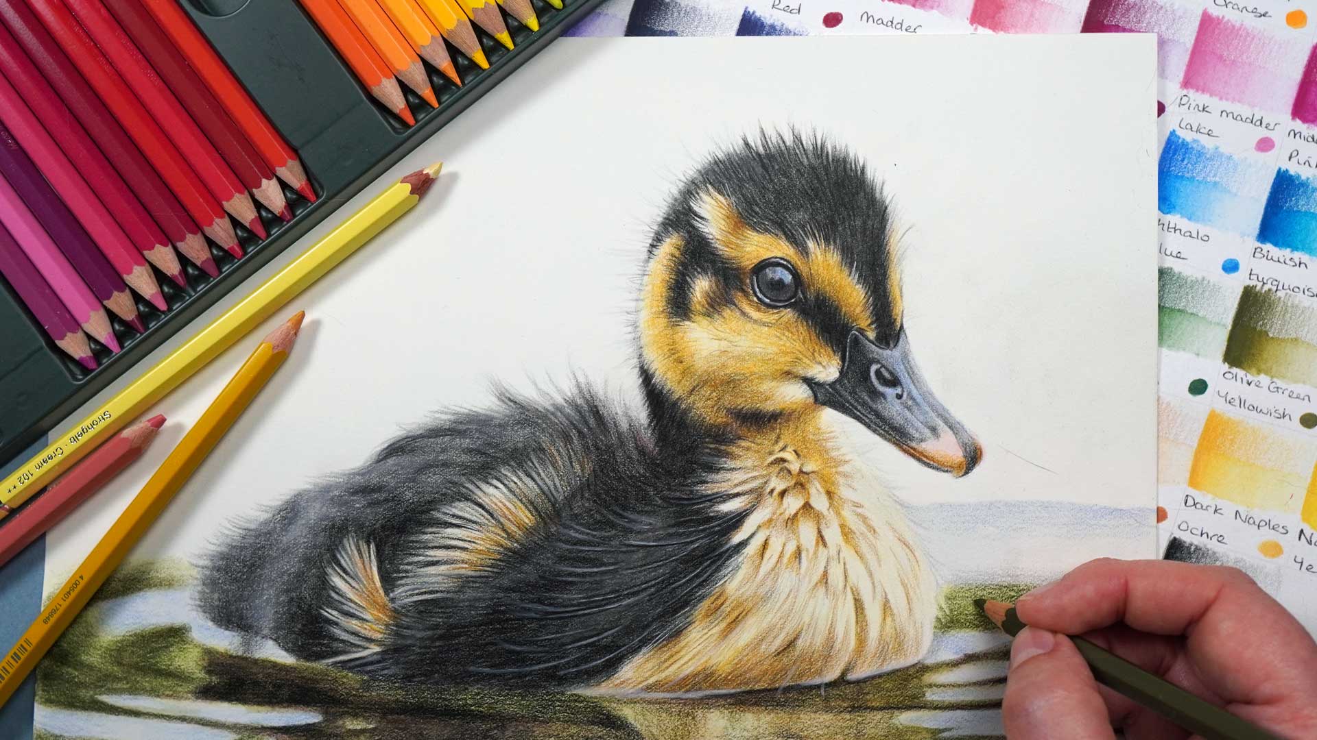 Duckling with Watercolour Pencils