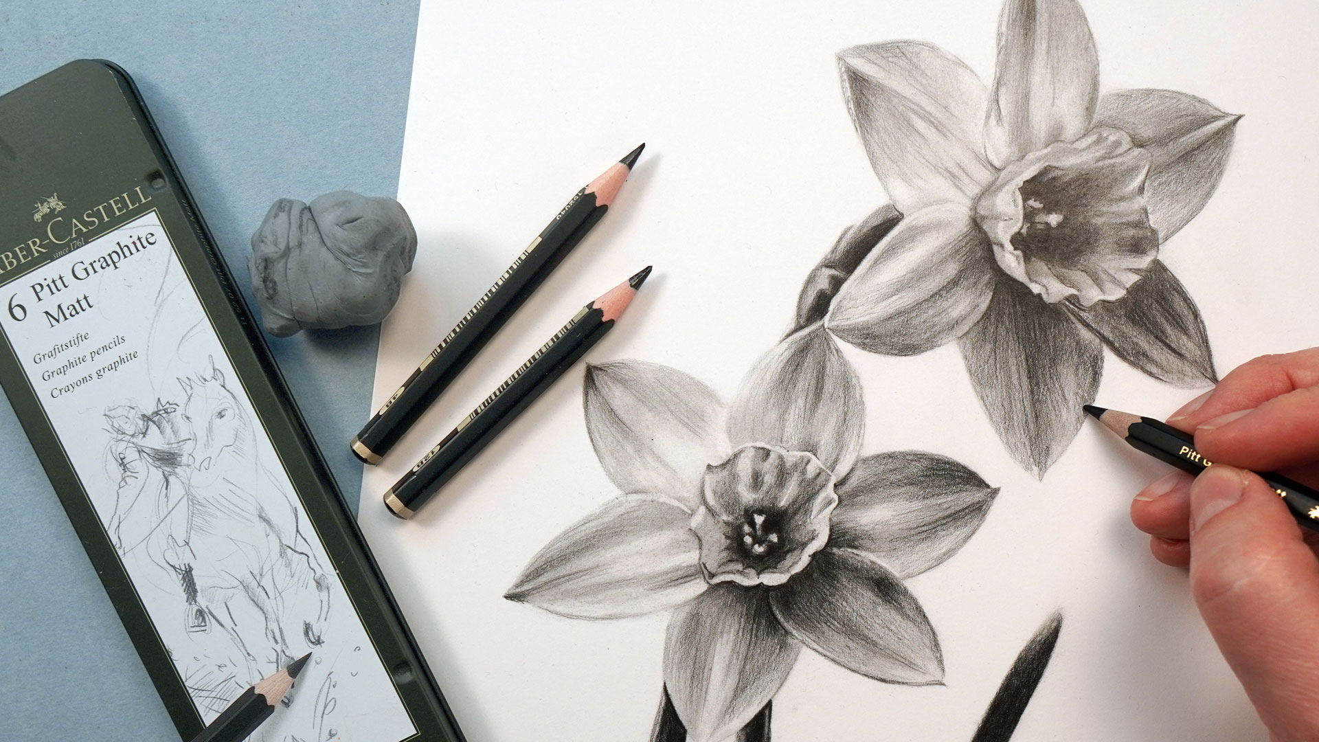 Daffodils with Graphite