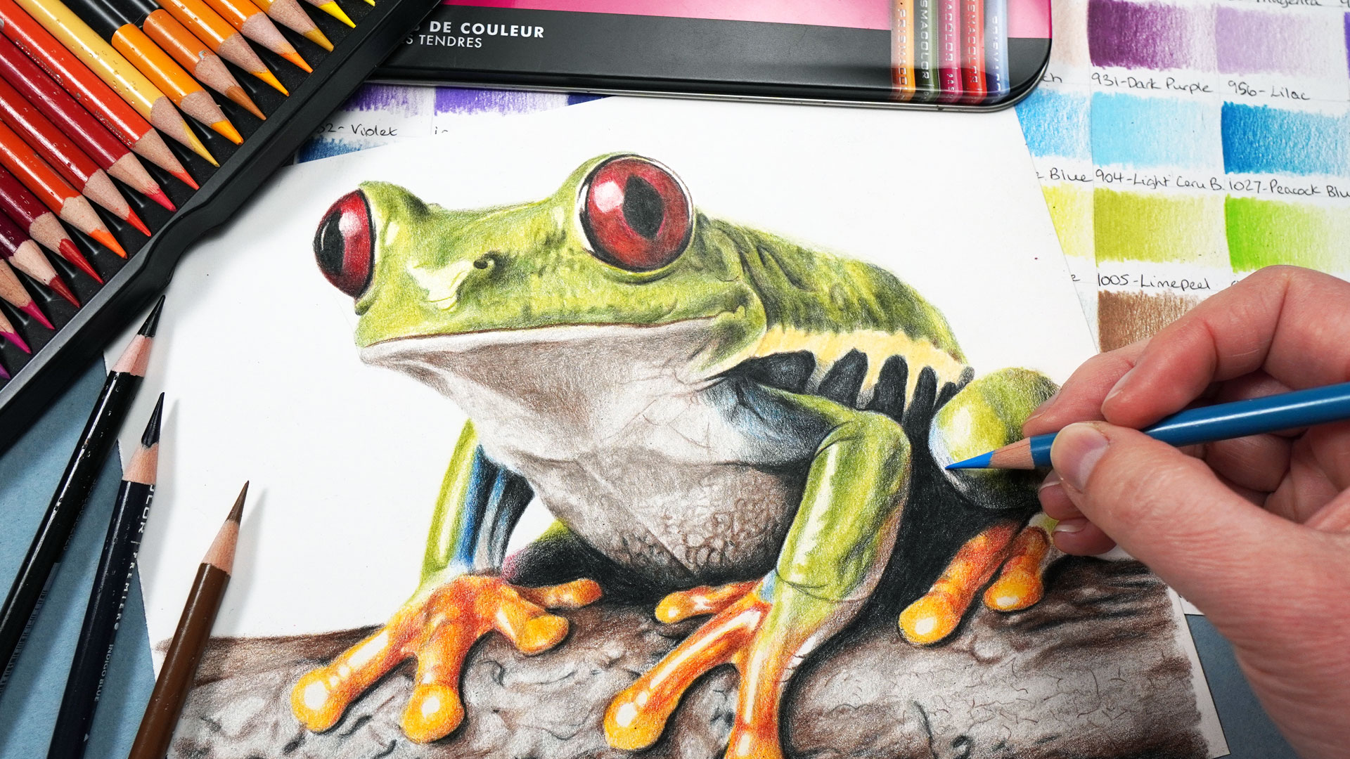 Colourful Frog with Prismacolor