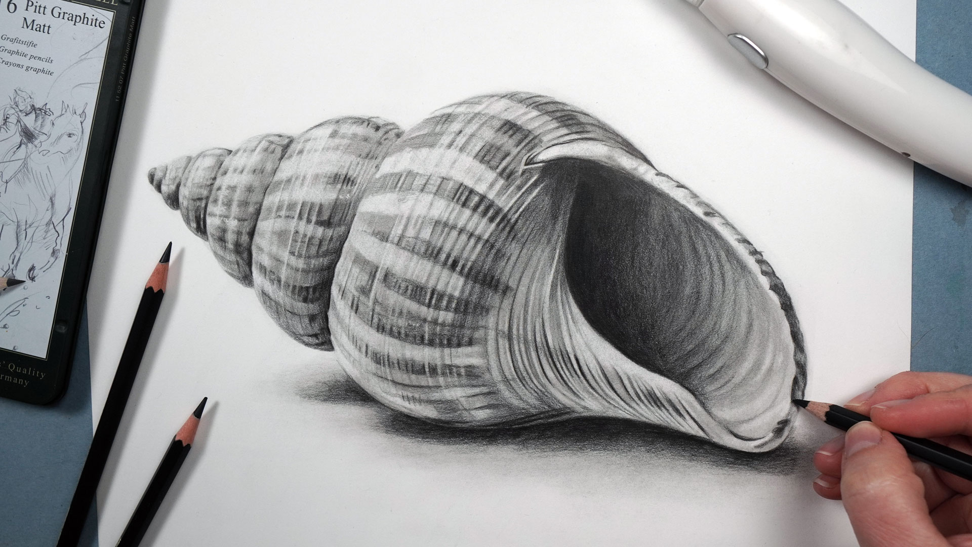 Seashell with Graphite