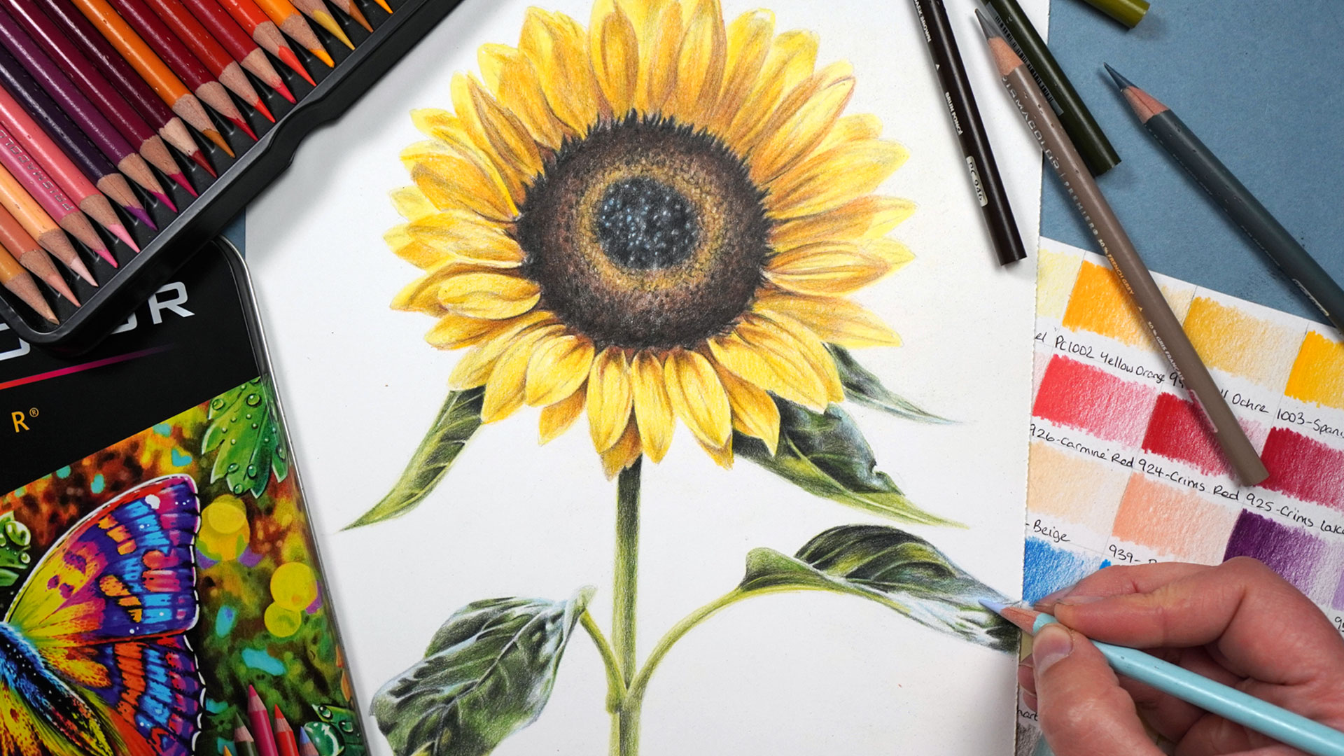 Sunflower with Prismacolor
